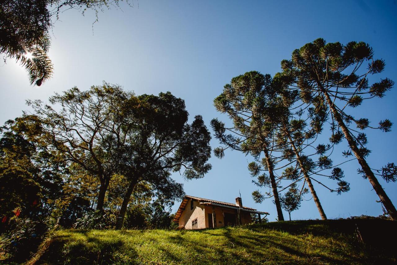 Sítio das Hortênsias Chalés Conceição do Ibitipoca Exterior foto