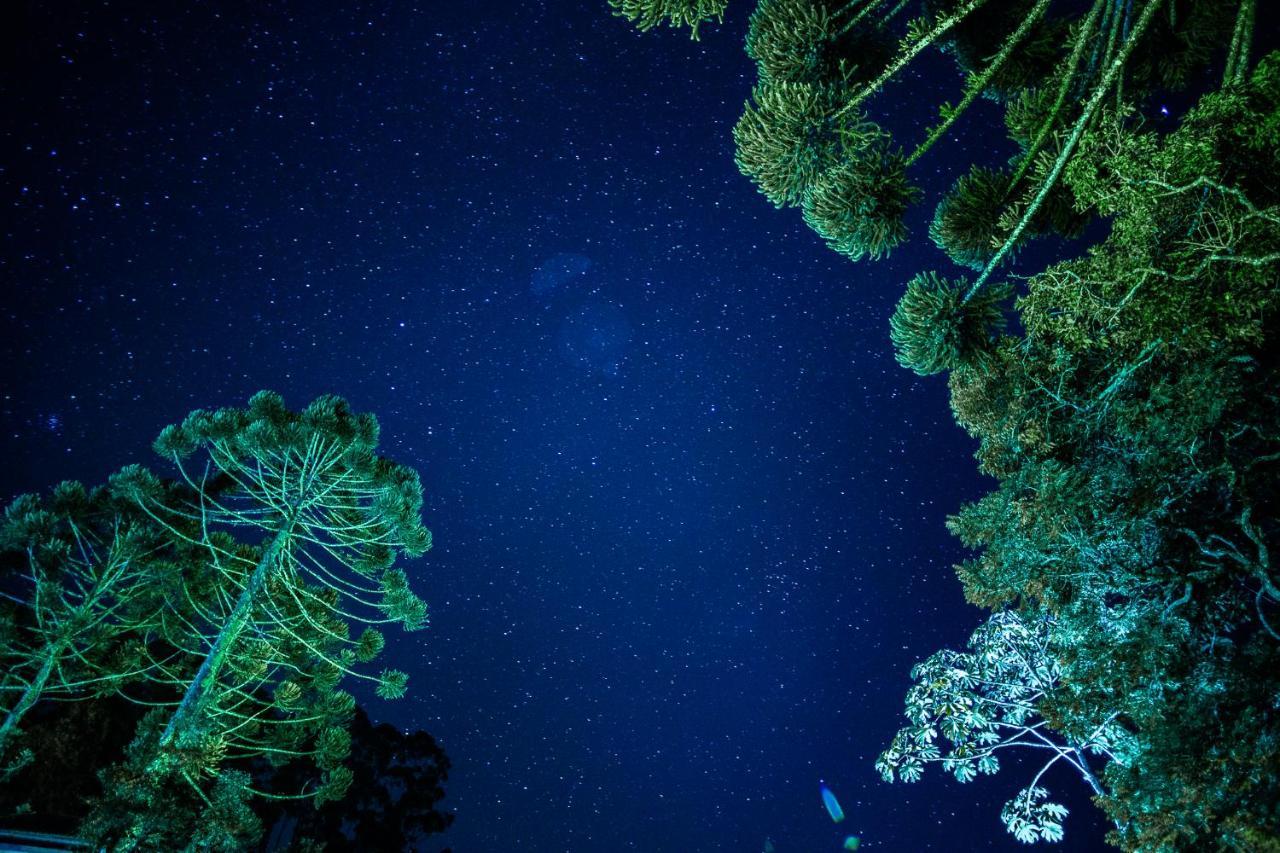 Sítio das Hortênsias Chalés Conceição do Ibitipoca Exterior foto